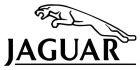 Jaguar Logo
